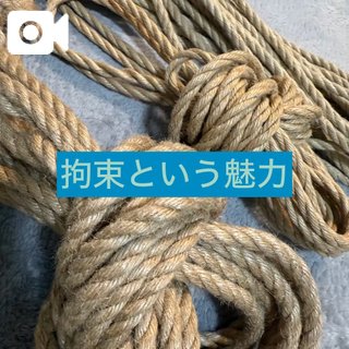 「岸えり」の写真