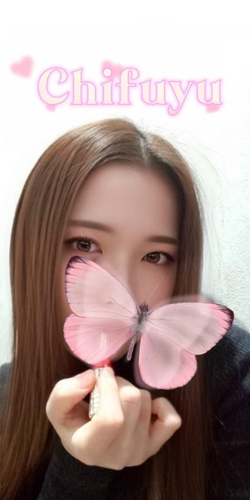 「ちふゆ」の写真