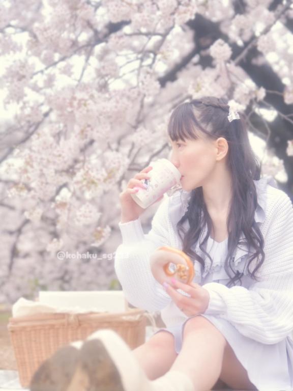 「こはく」の写真