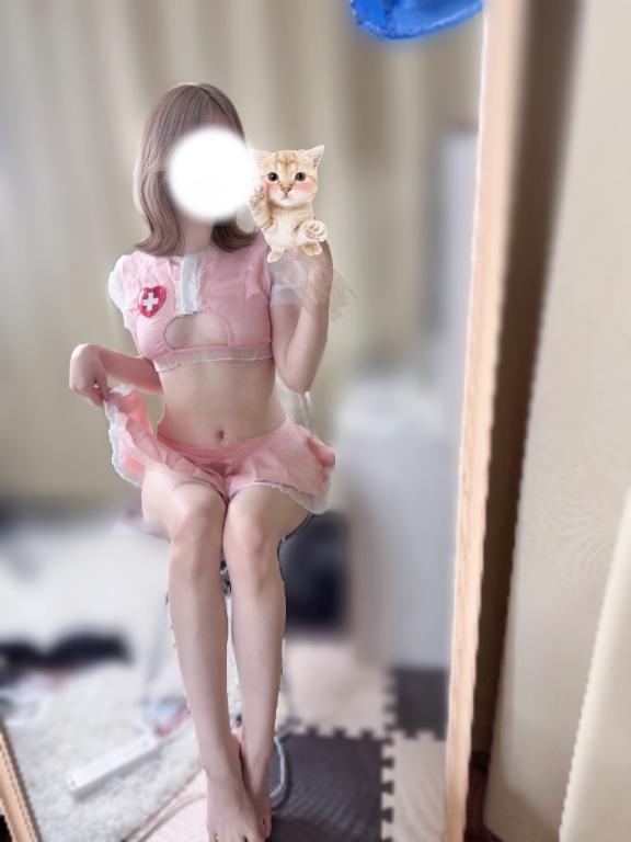 「しの」の写真