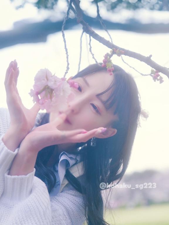 「こはく」の写真