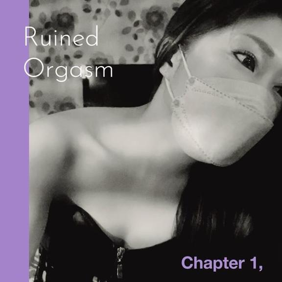 「レイコ」の写真