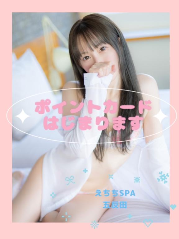 「こはく」の写真