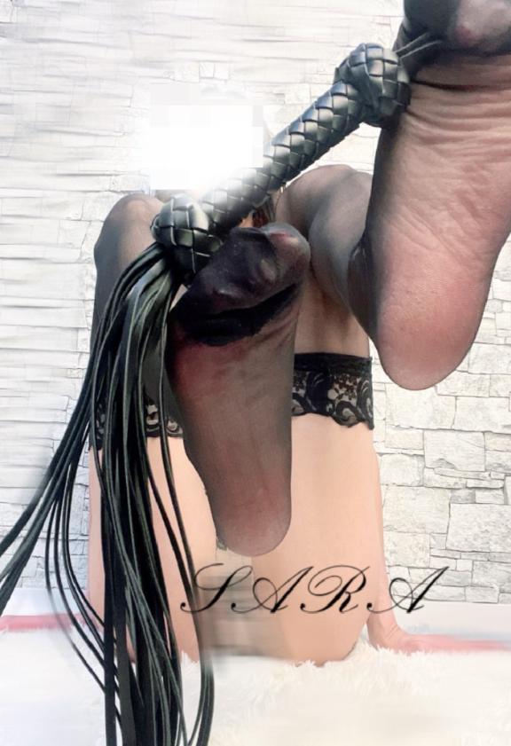 「さら」の写真