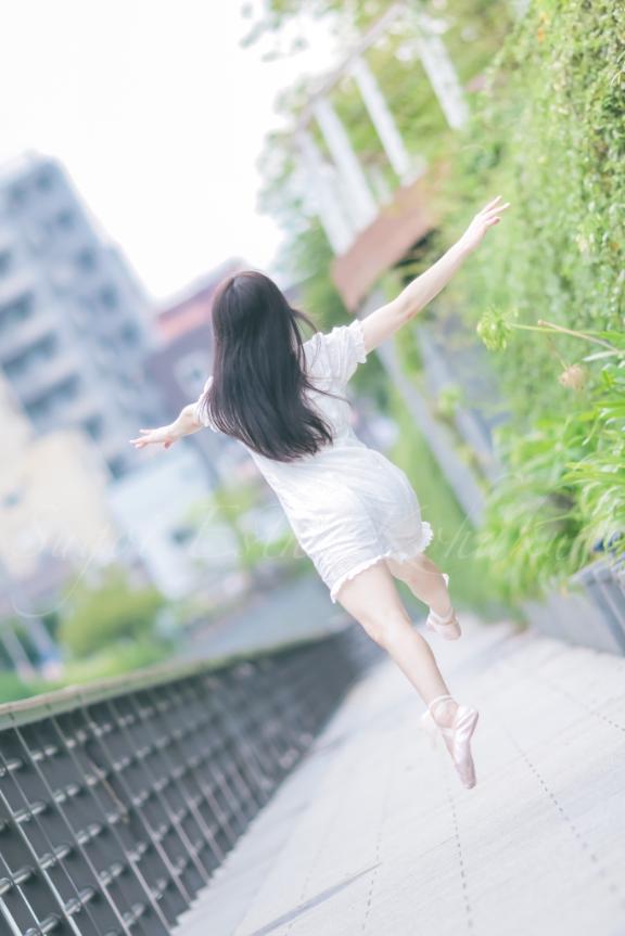 「こはく」の写真