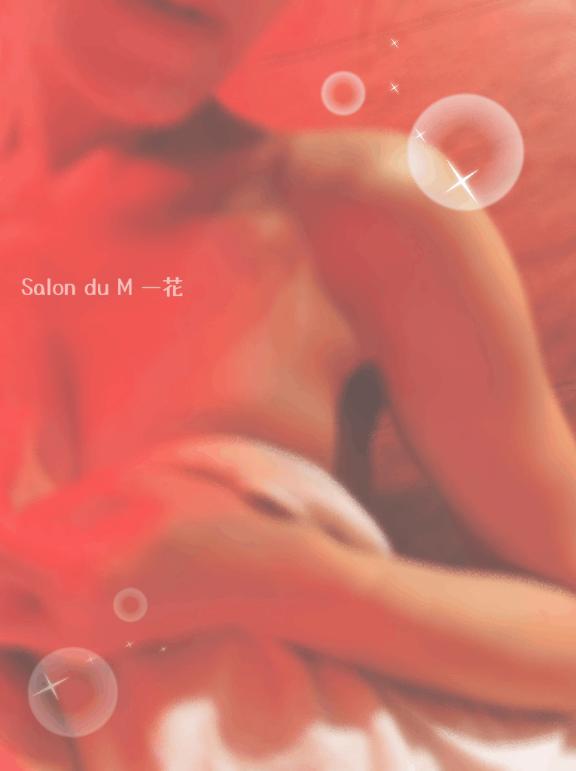 「一花」の写真