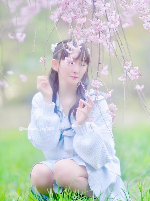 「こはく」の写真