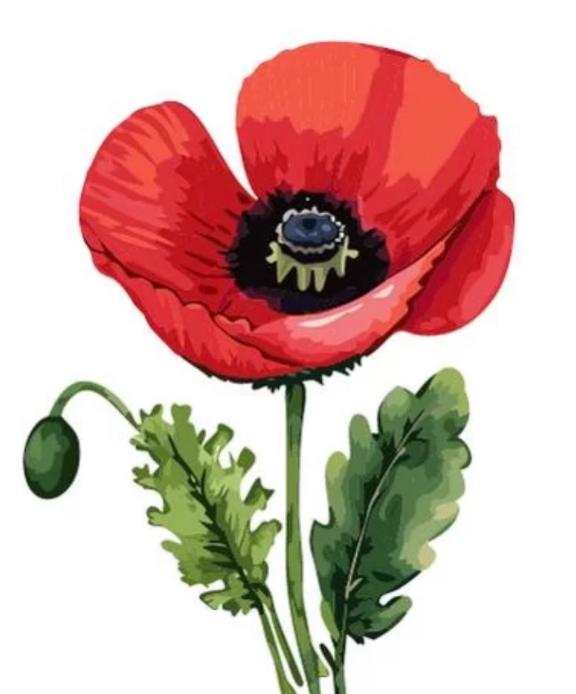 「まりあ」の写真