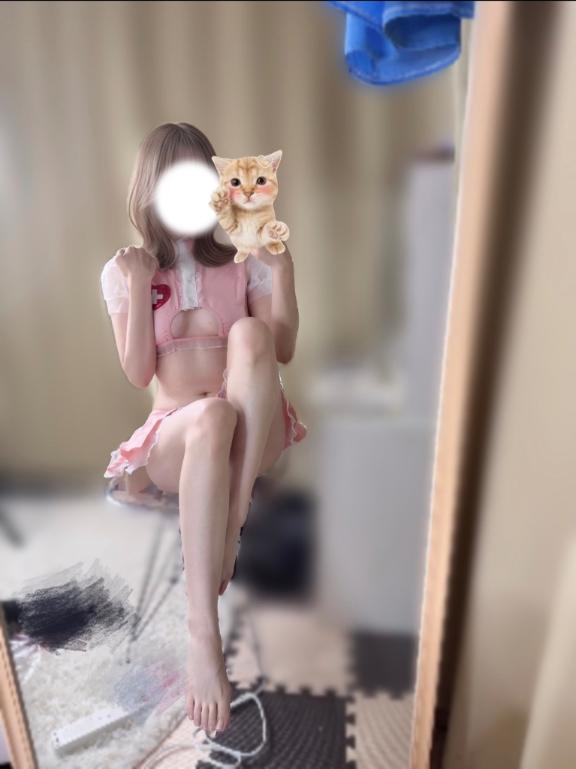 「しの」の写真