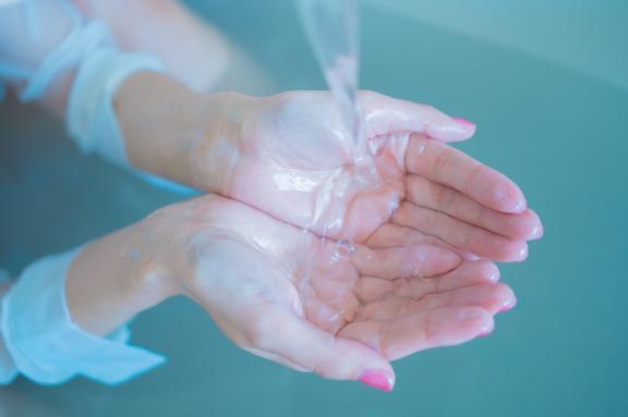 「れい」の写真