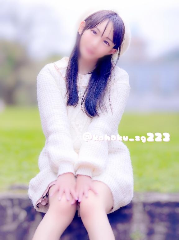 「こはく」の写真