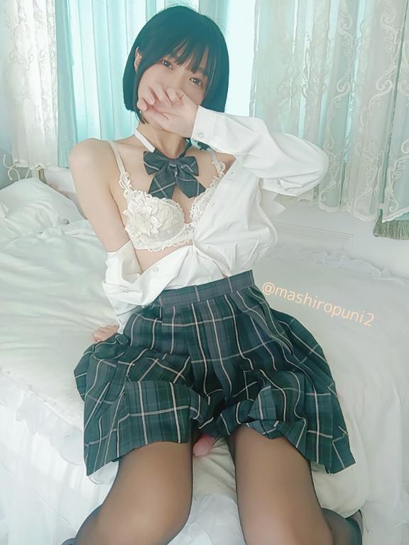 「ましろ」の写真