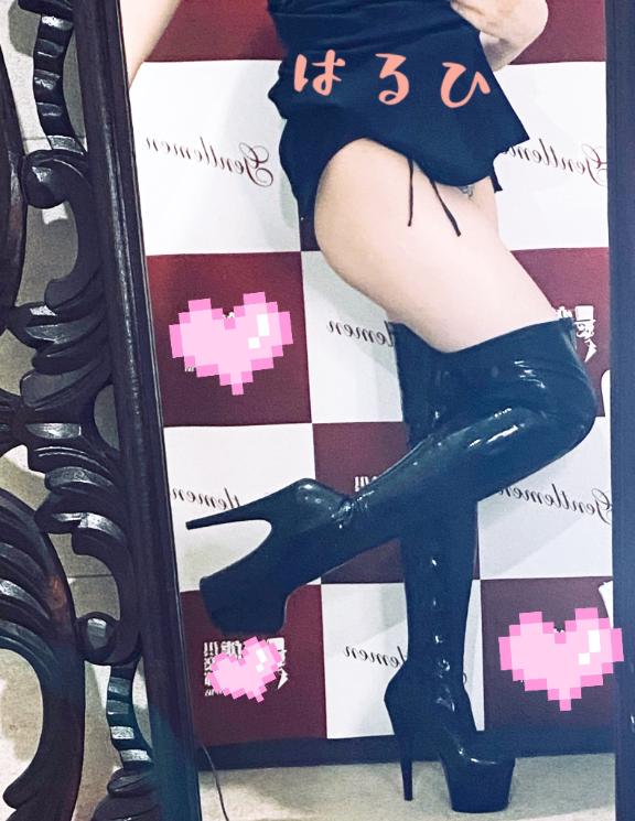 「はるひ」の写真