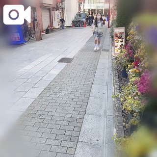 「こはく」の写真