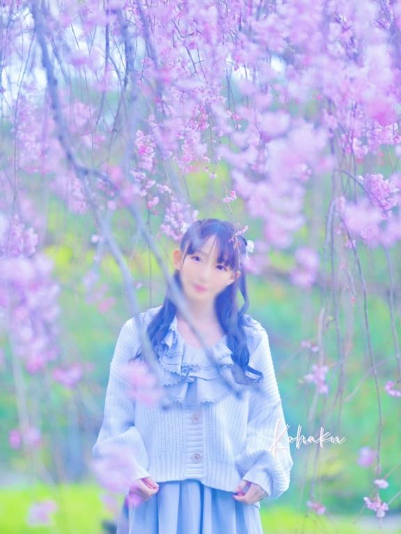 「こはく」の写真