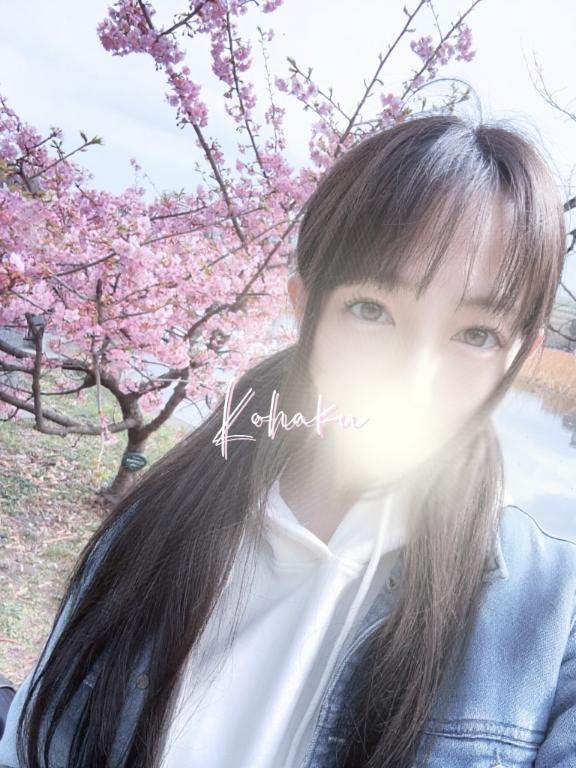 「こはく」の写真