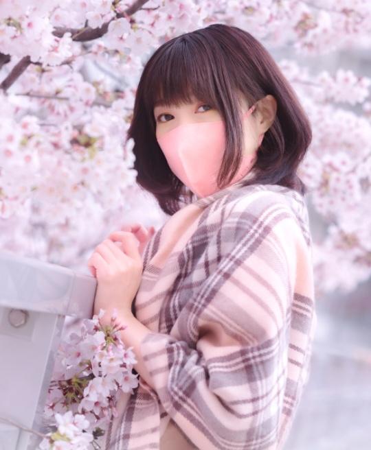 「ましろ」の写真