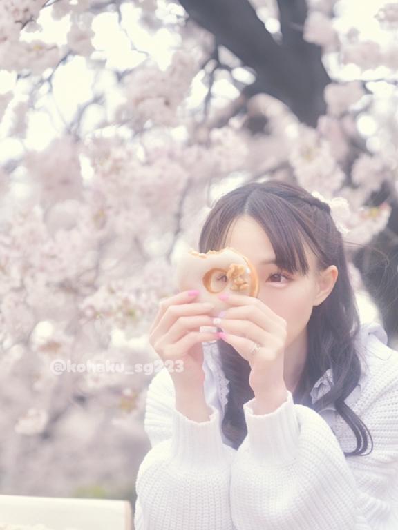 「こはく」の写真