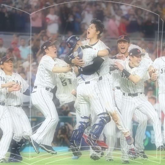 「しのん」の写真