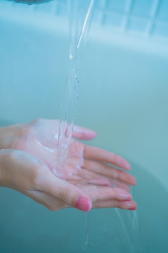 「れい」の写真