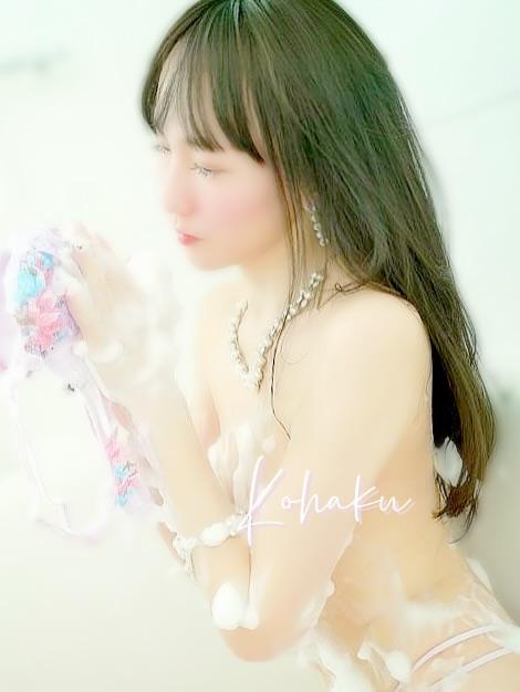 「こはく」の写真