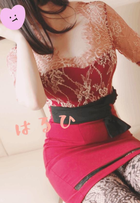 「はるひ」の写真