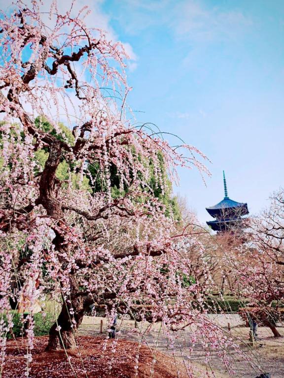 「りおな」の写真