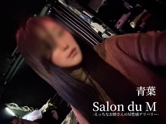 「青葉」の写真