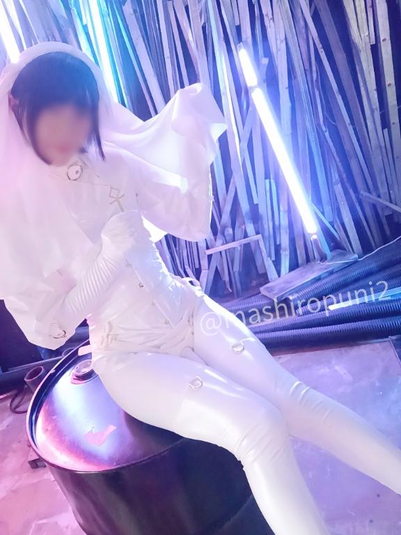 「ましろ」の写真