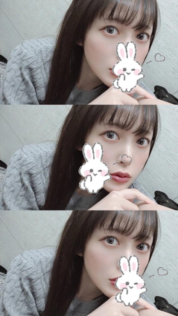 「ことり」の写真