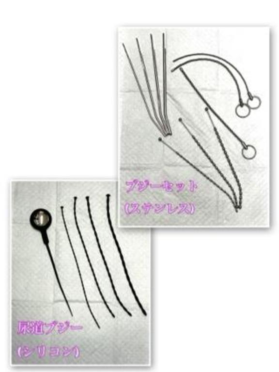 「かすみ」の写真