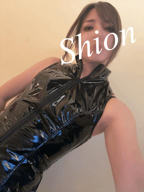 「紫苑（しおん）」の写真