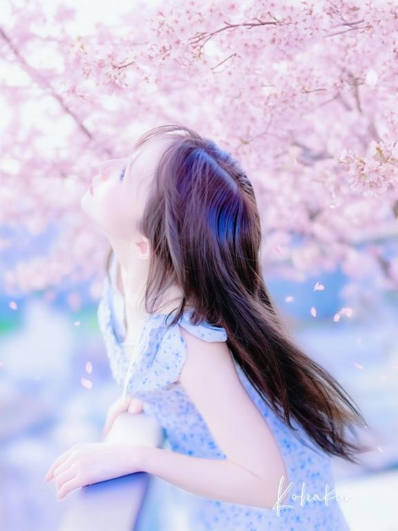 「こはく」の写真