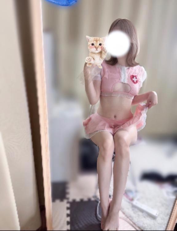 「しの」の写真