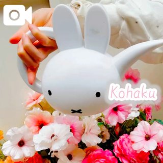 「こはく」の写真