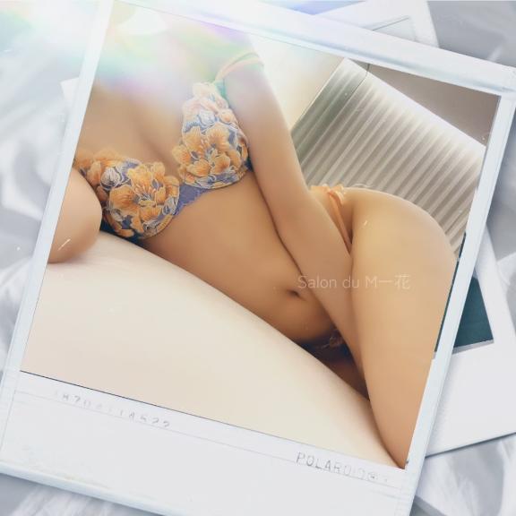 「一花」の写真