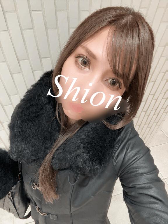 「紫苑（しおん）」の写真