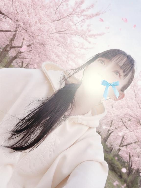 「こはく」の写真