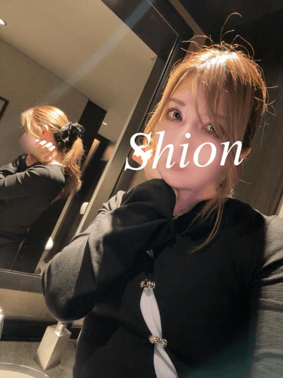 「紫苑（しおん）」の写真