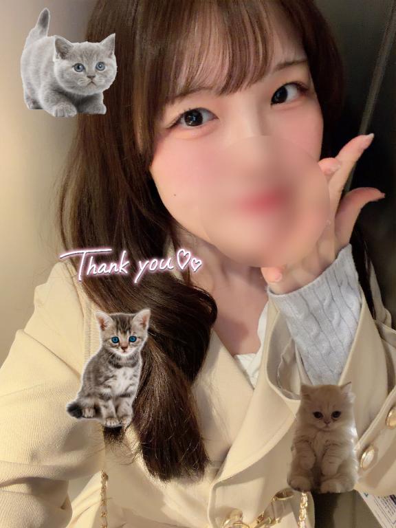 「ひかり」の写真