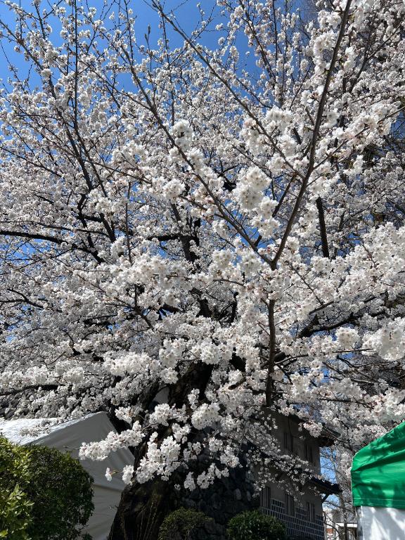 「岸えり」の写真