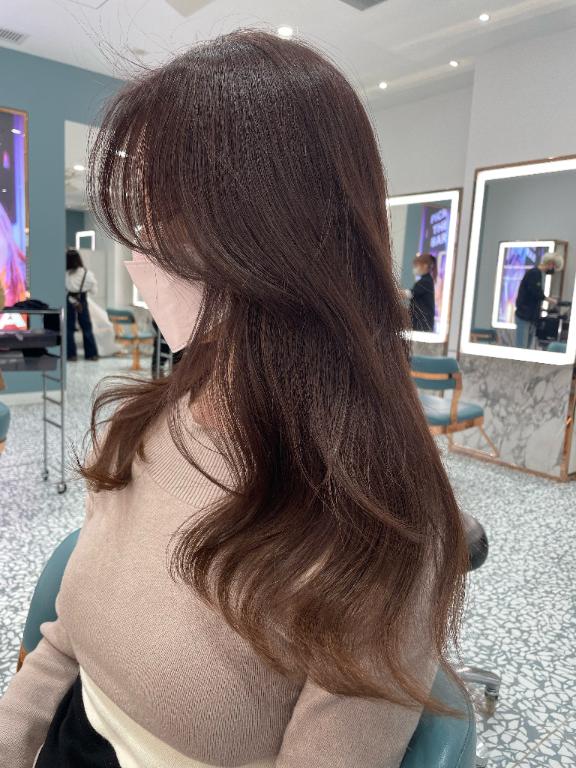 「いずみ」の写真