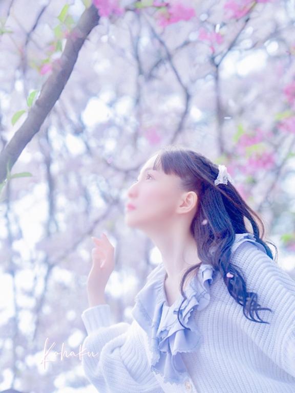 「こはく」の写真