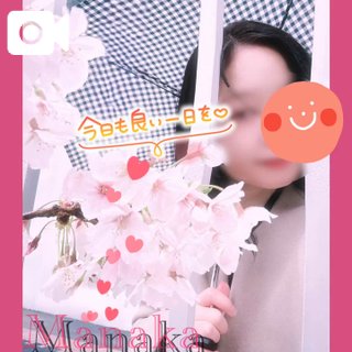 「まなか」の写真