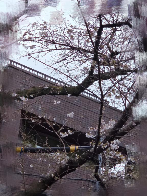 「そら」の写真