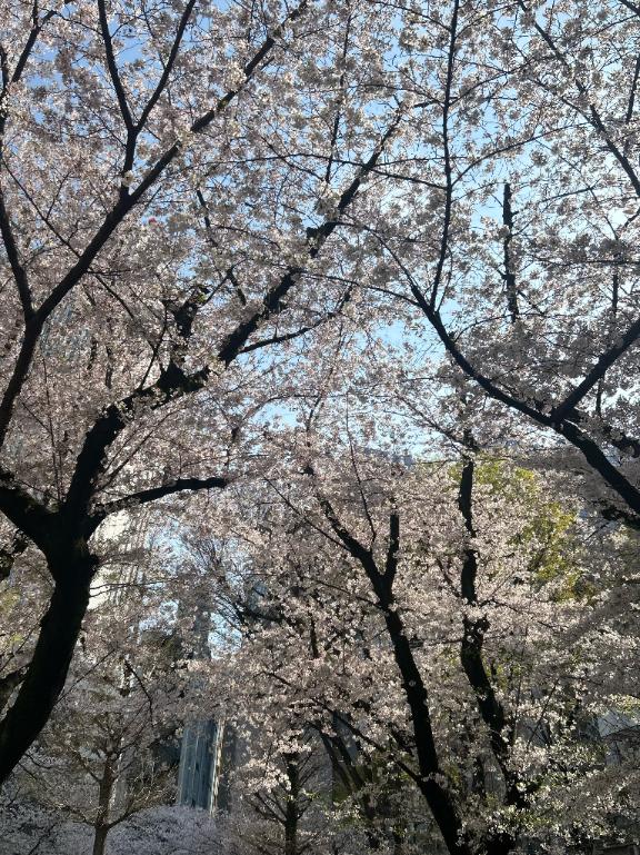 「まりあ」の写真