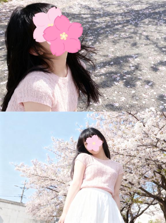 「すみれ」の写真