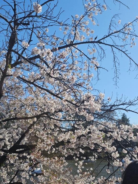 「ゆあ」の写真