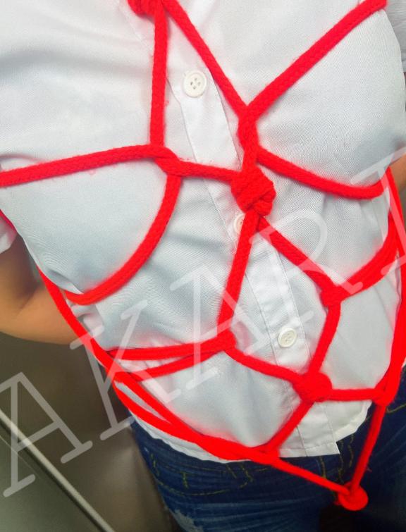 「あかり」の写真