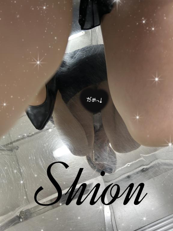 「しおん」の写真